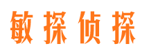 商城市侦探调查公司